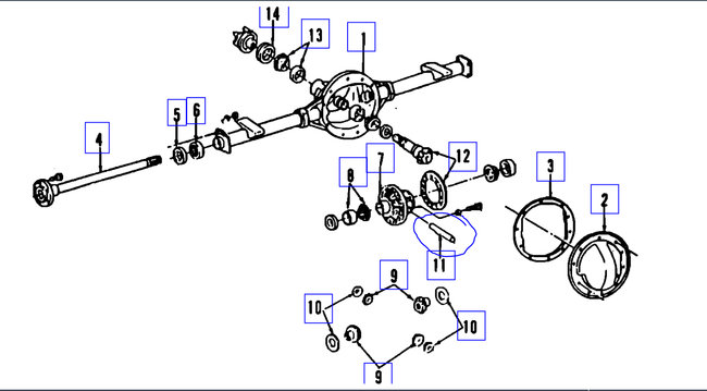 Attached Media