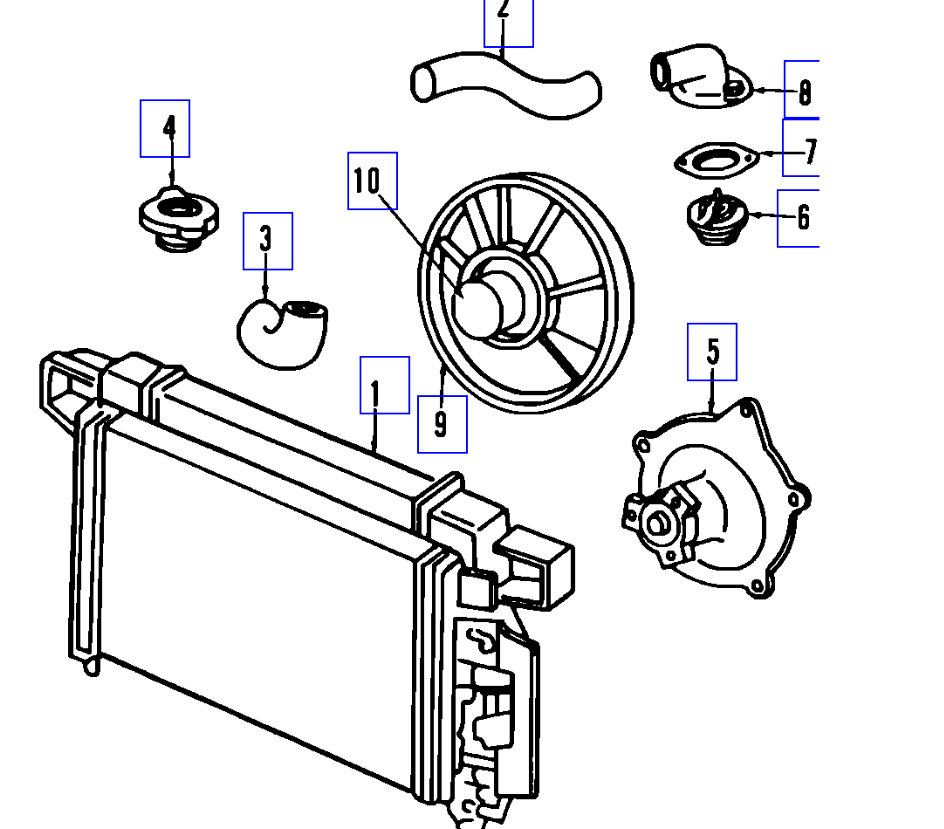 Attached Media