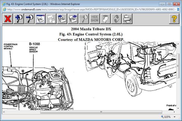 Attached Media