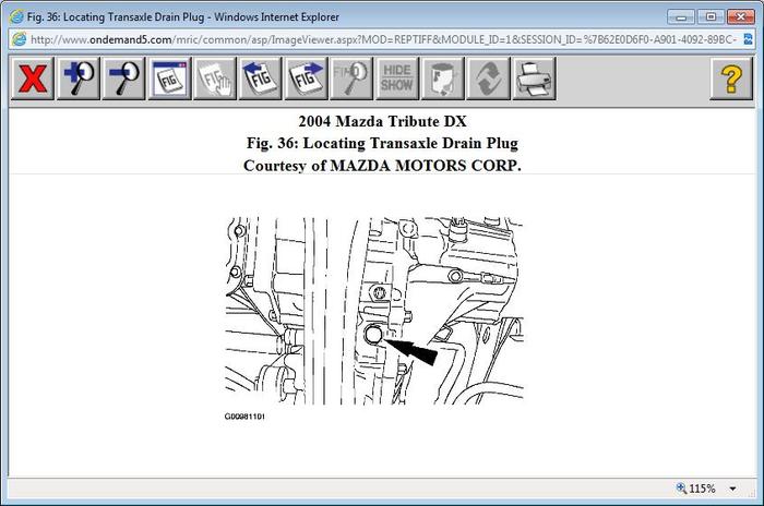 Attached Media