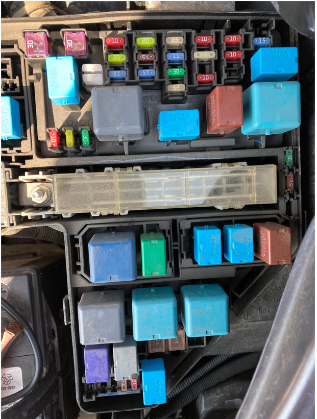 Attached Media