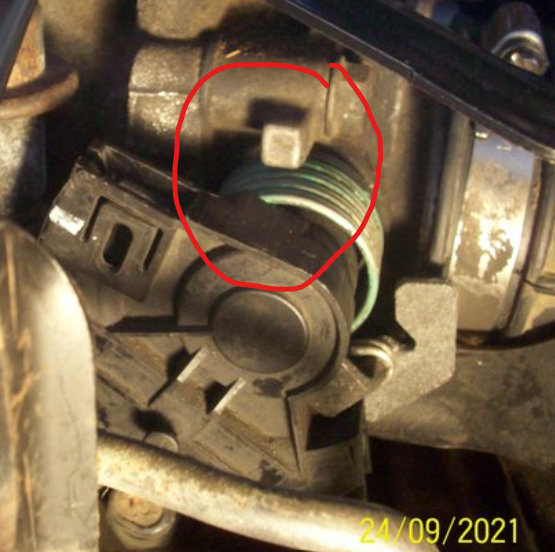 Attached Media