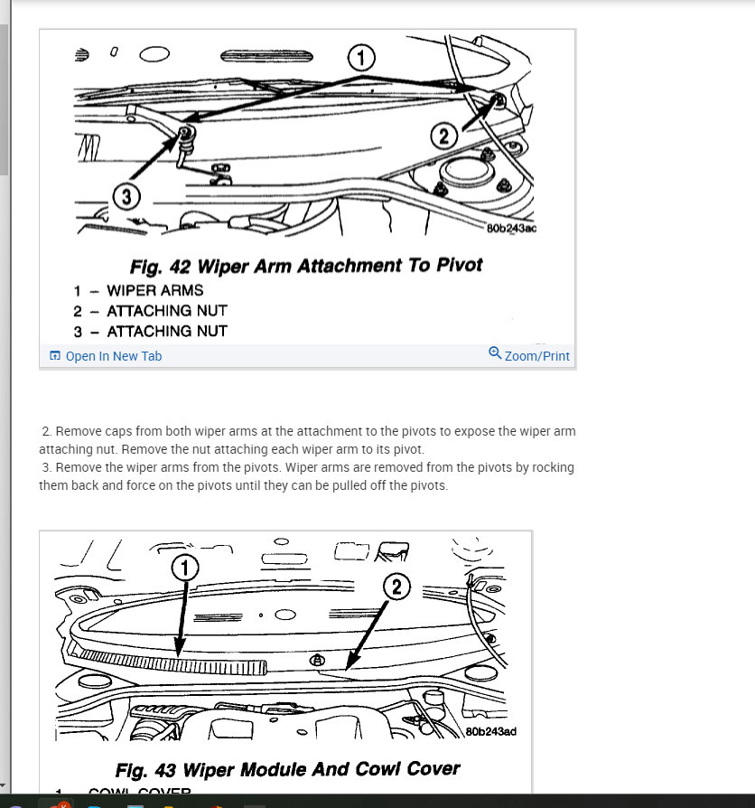 Attached Media