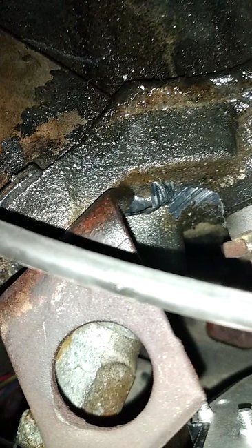 Attached Media