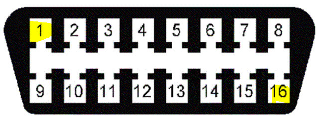 Attached Media