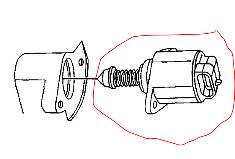 Attached Media
