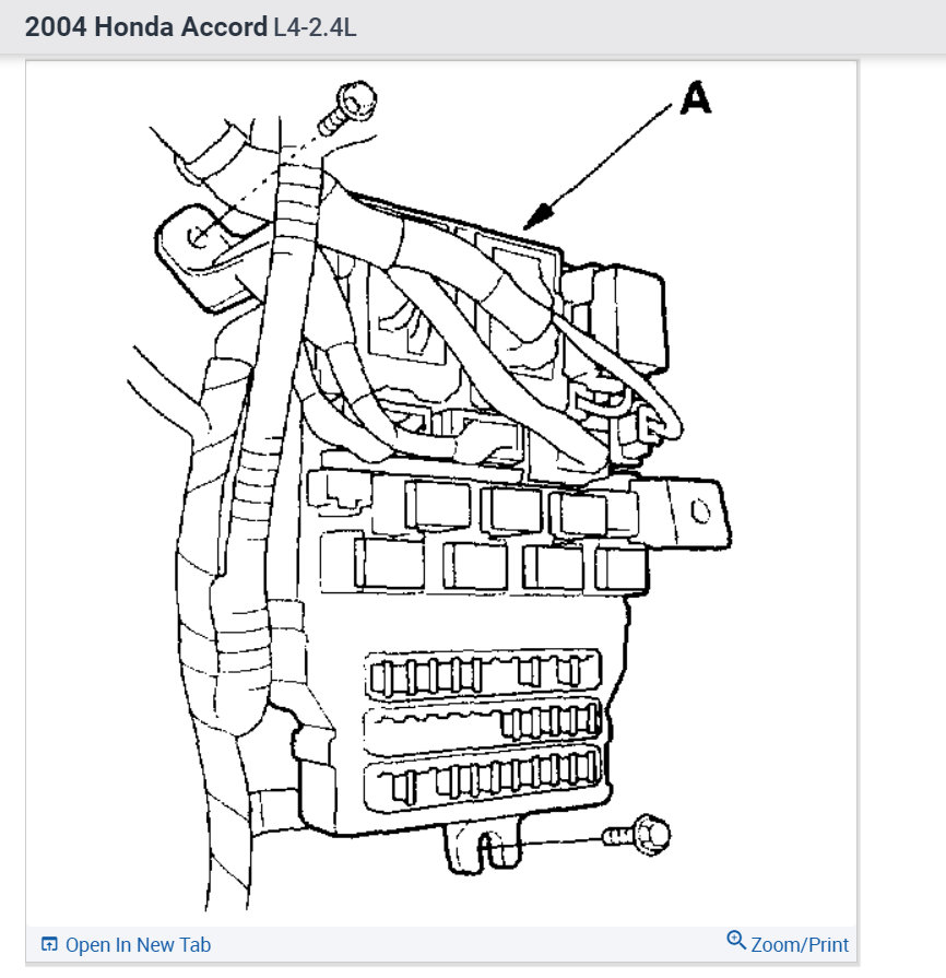 Attached Media