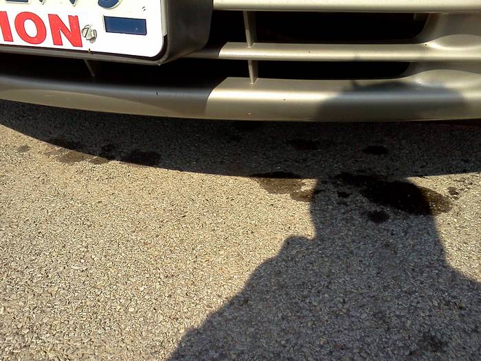 Attached Media