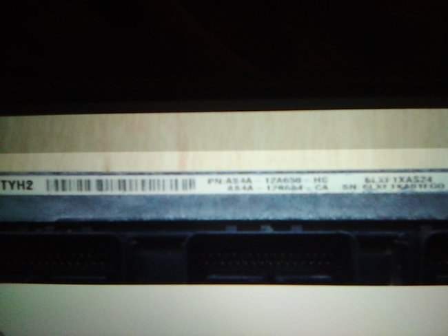 Attached Media