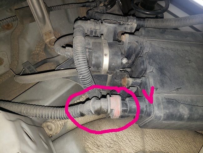 Attached Media