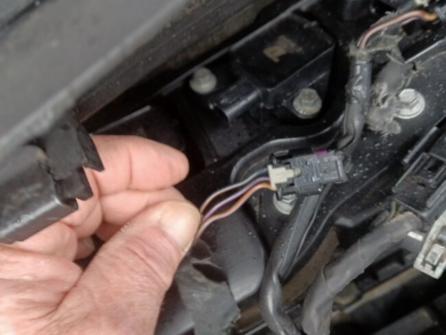Attached Media