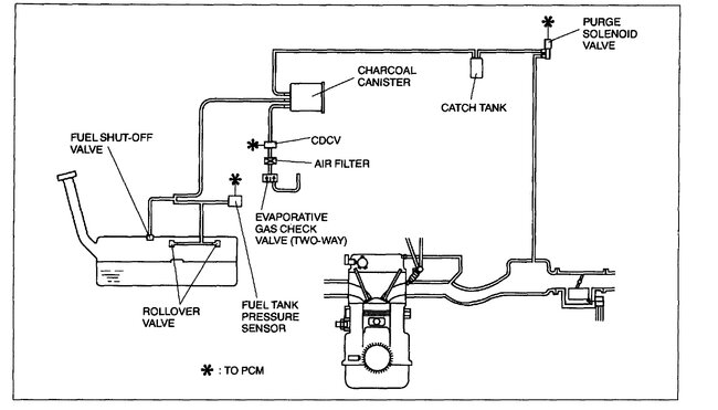 Attached Media
