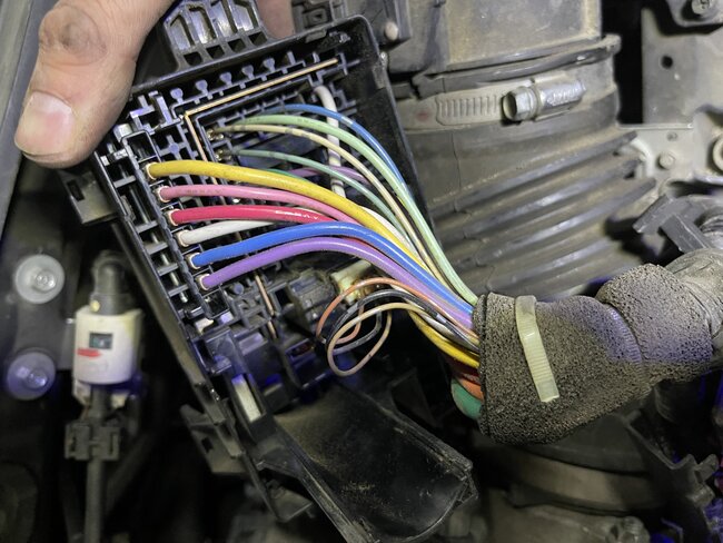 Attached Media