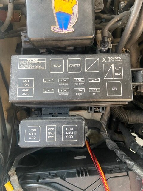 Attached Media