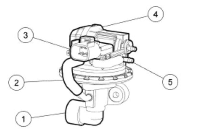 Attached Media
