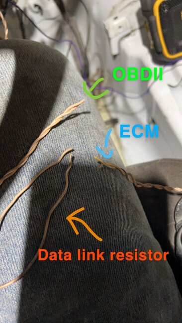Attached Media