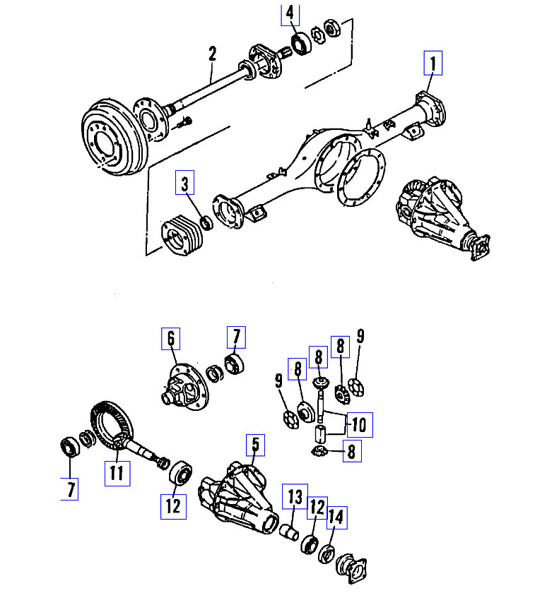 Attached Media