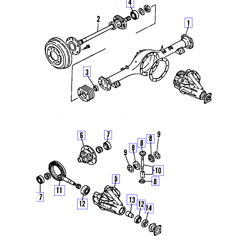 Attached Media