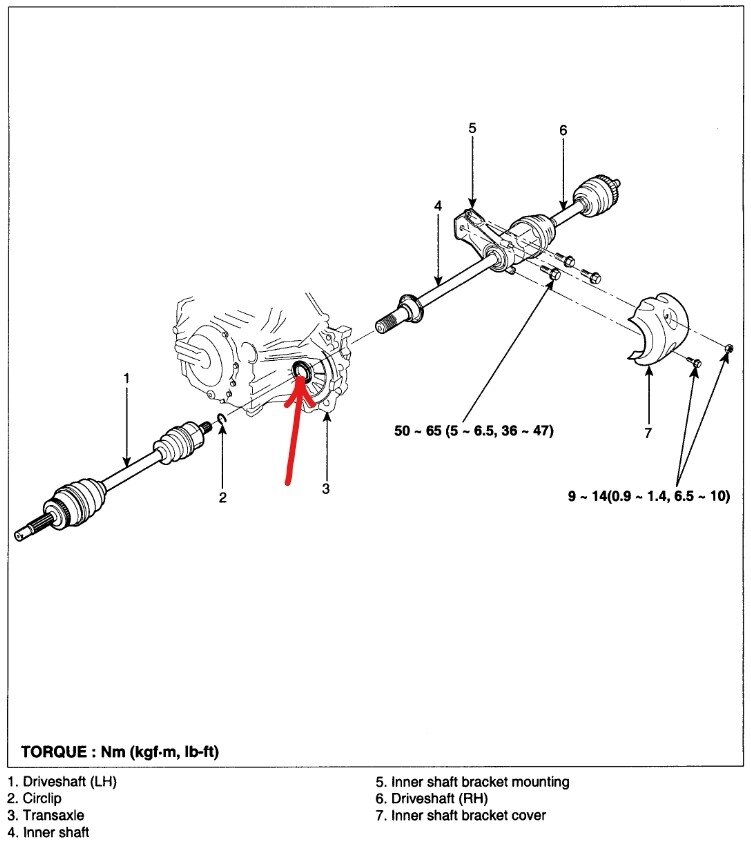 Attached Media