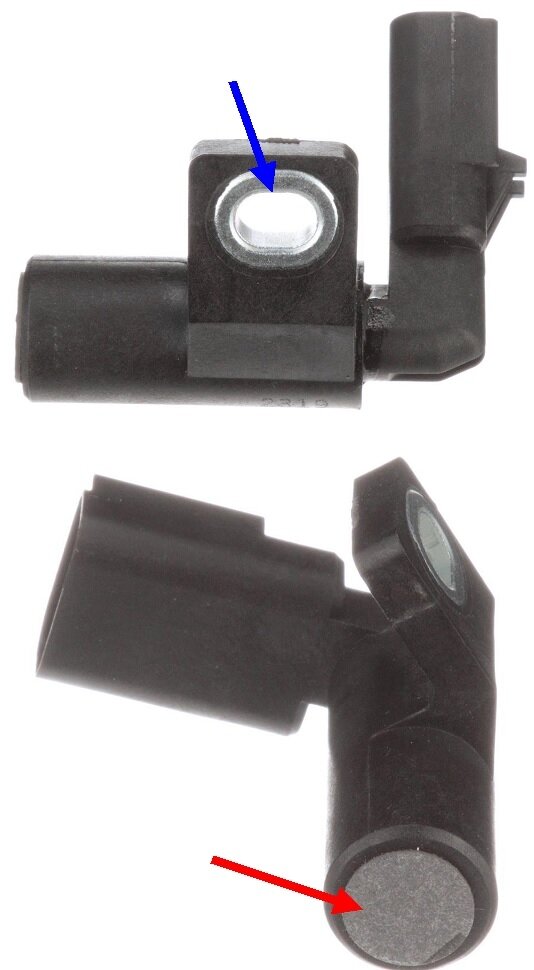 Attached Media