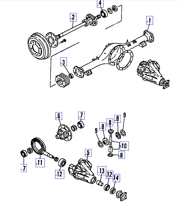 Attached Media