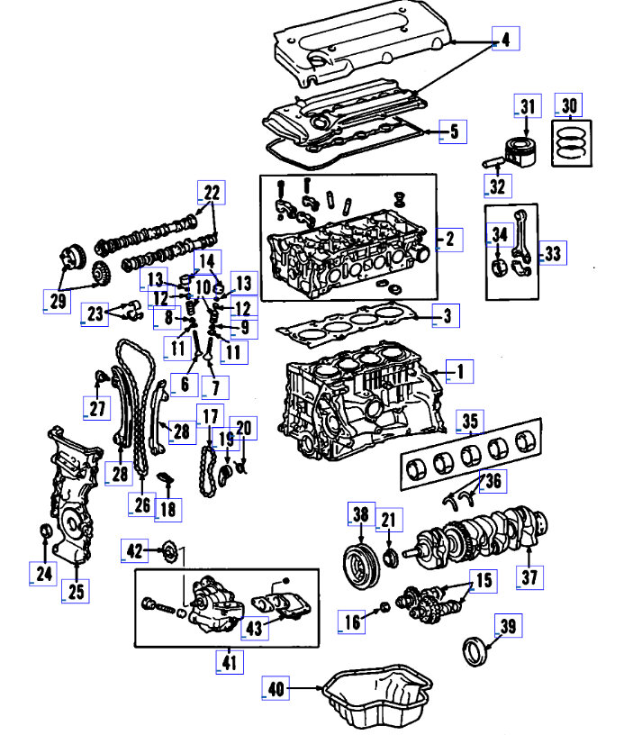 Attached Media