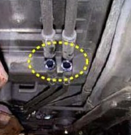 Attached Media