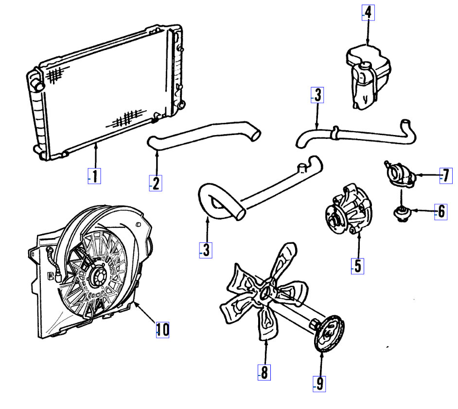 Attached Media
