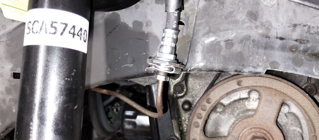 Attached Media