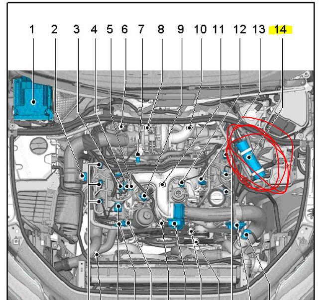 Attached Media