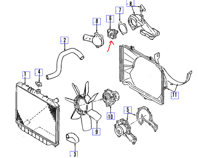 Attached Media