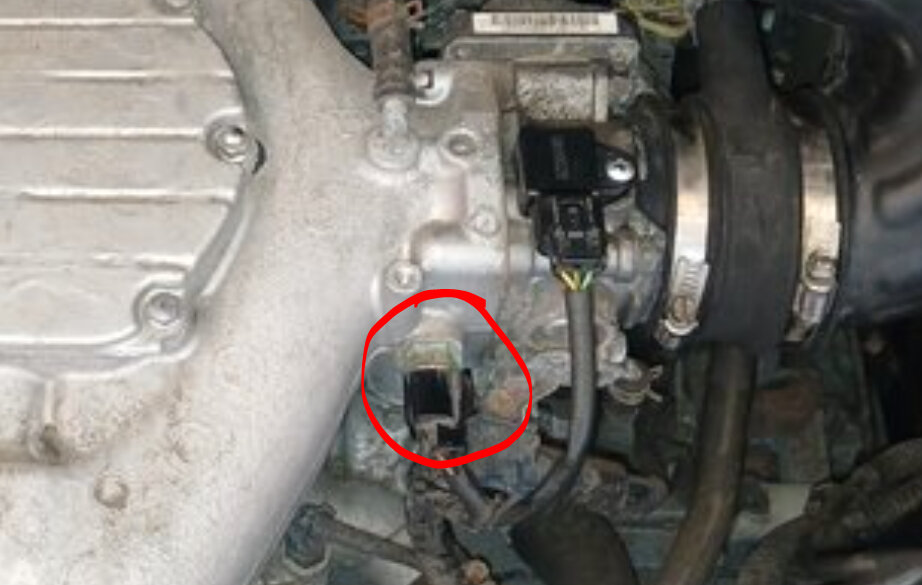 Attached Media