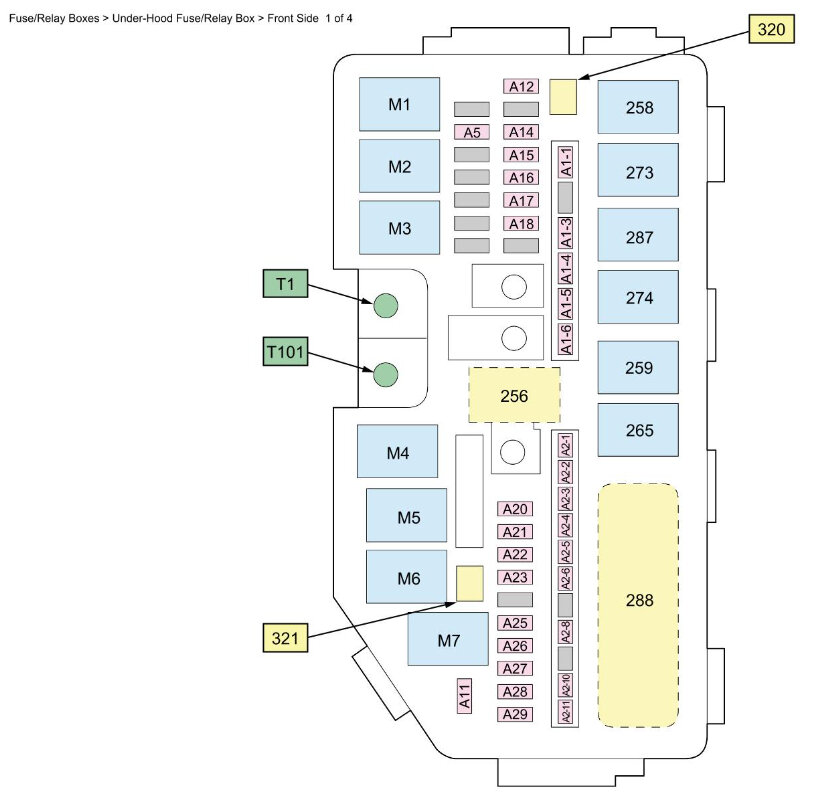 Attached Media
