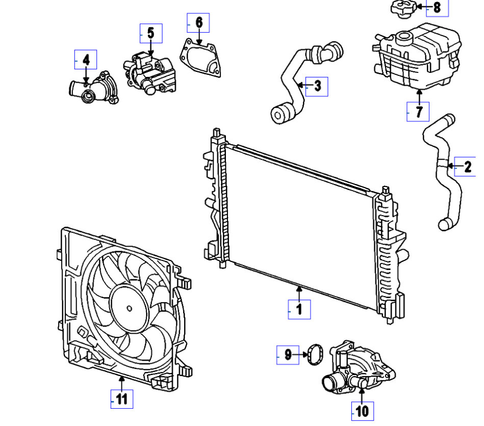 Attached Media
