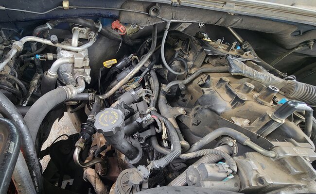 Attached Media