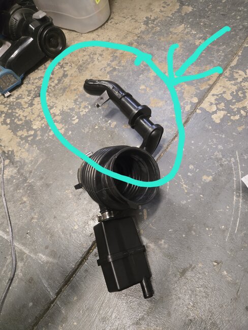 Attached Media