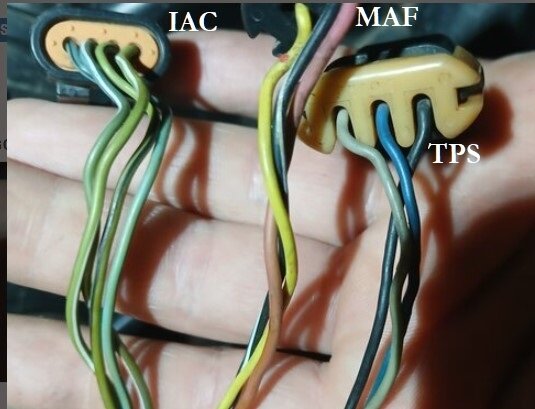 Attached Media