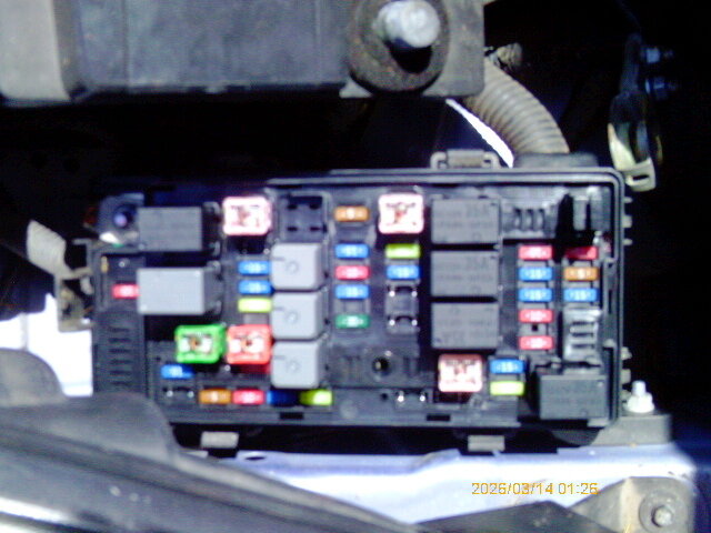 Attached Media