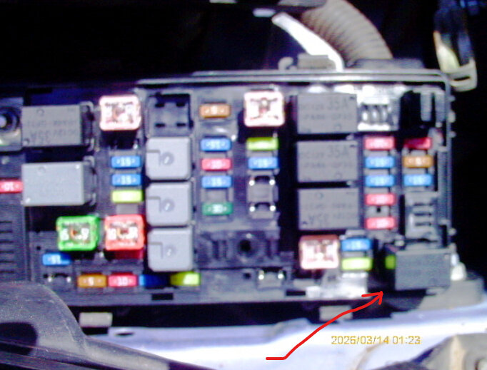 Attached Media
