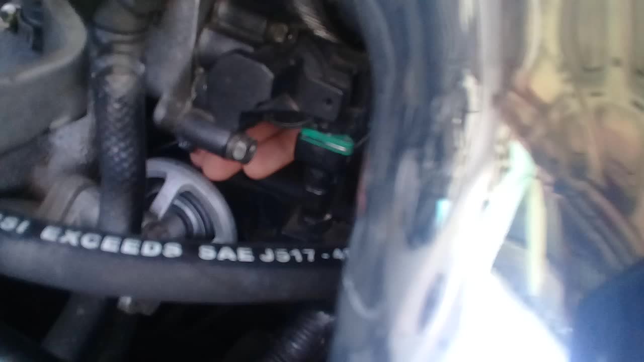 Attached Media