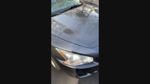 Attached Media