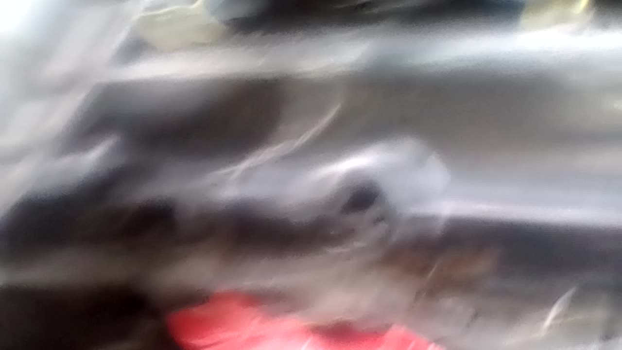 Attached Media