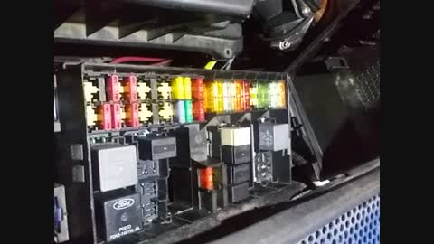 Attached Media