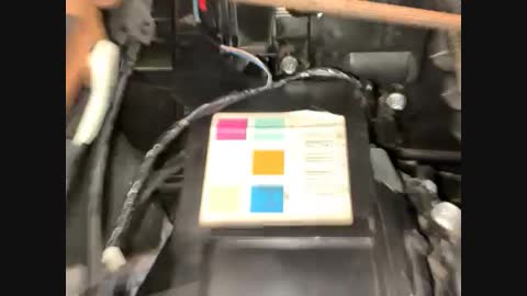 Attached Media