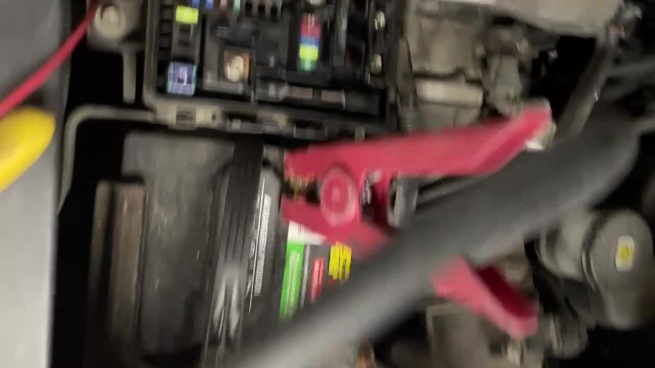 Attached Media