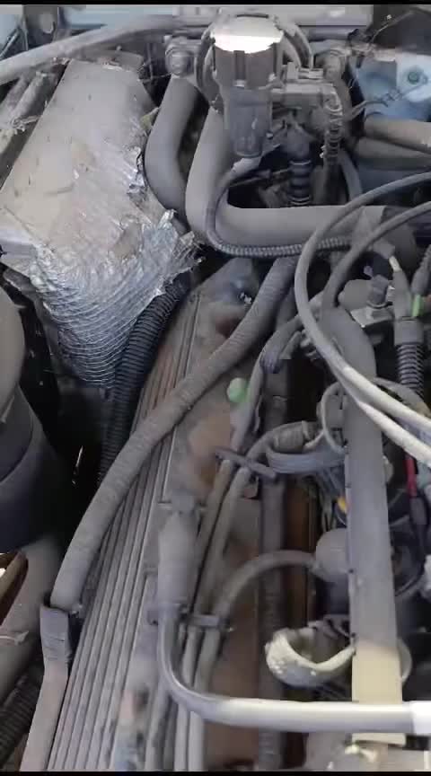 Attached Media