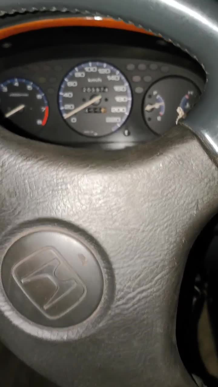 Attached Media